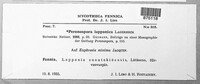 Peronospora lapponica image